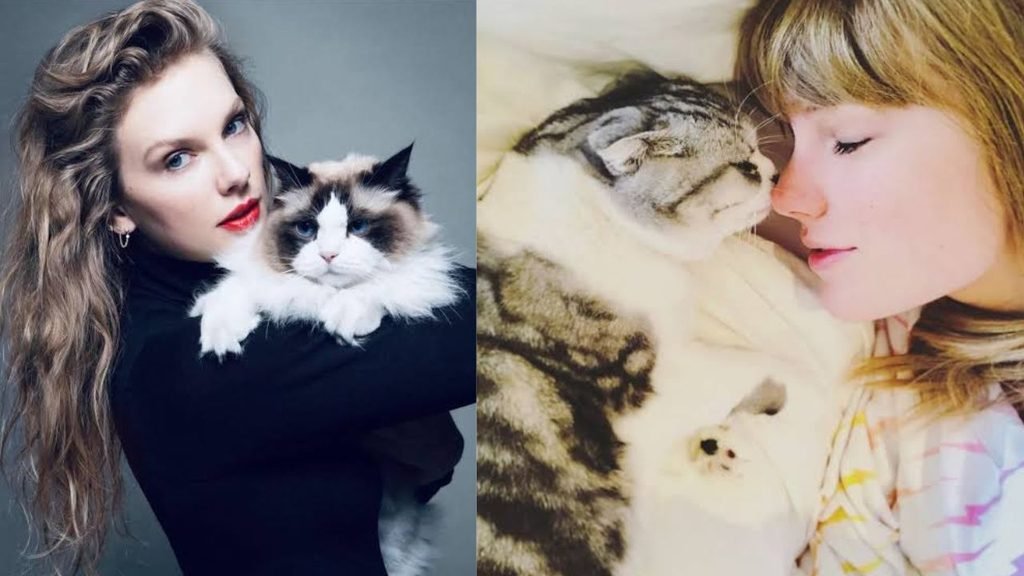 Taylor Swift Cats Names